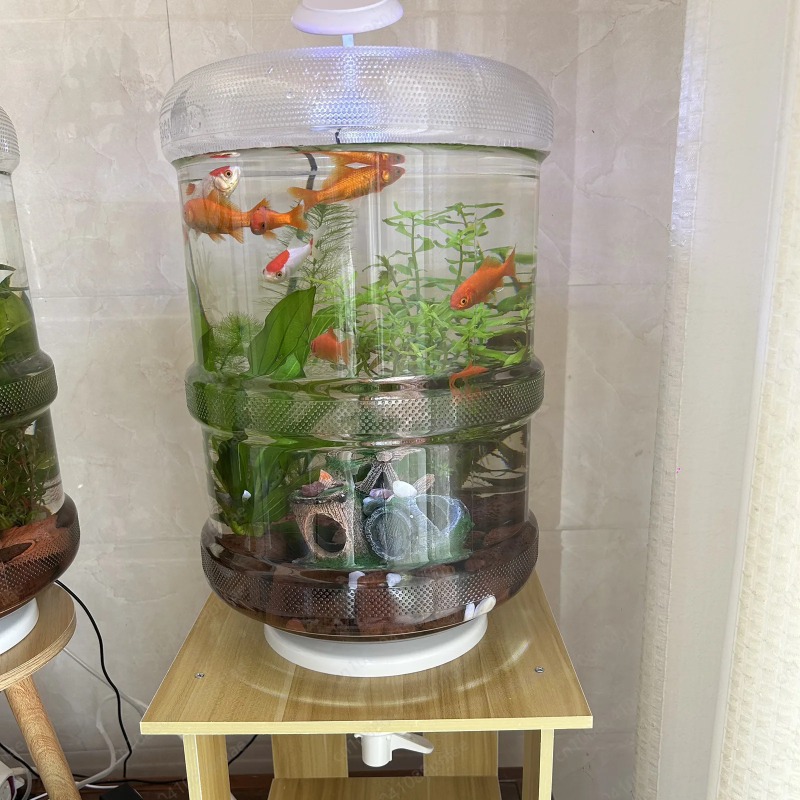 Aquarium Planted Setup - Configurazione istantanea Acquario domestico 30x30 cm