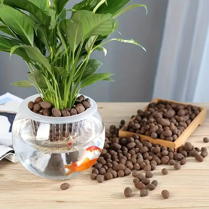 Pellet di terracotta leggeri e - Aquarium Planting recensione e prezzo