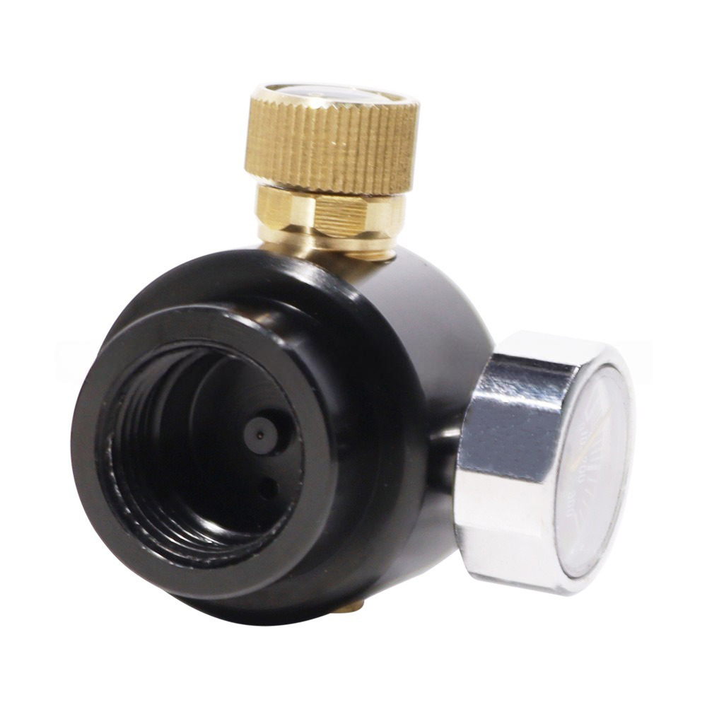 Regolatore di Pressione per An - Aquarium Planted Setup recensione e prezzo