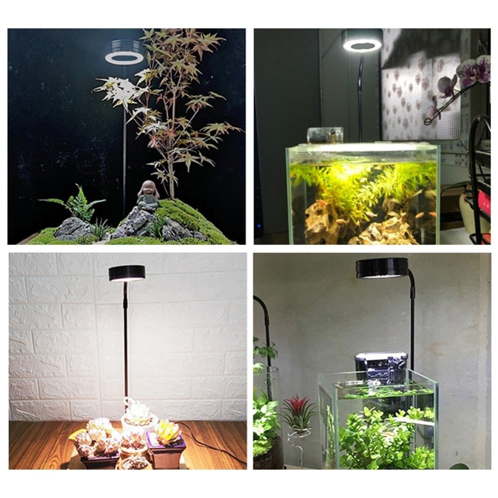 Lampada LED 10W per Acquario c - Aquarium Plant Growth Light recensione e prezzo