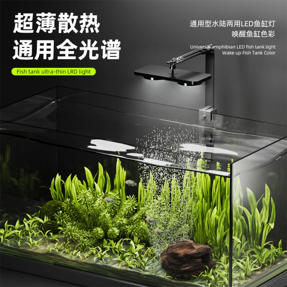 Luce per acquario a LED con cl - Planted Aquarium Cycling recensione e prezzo