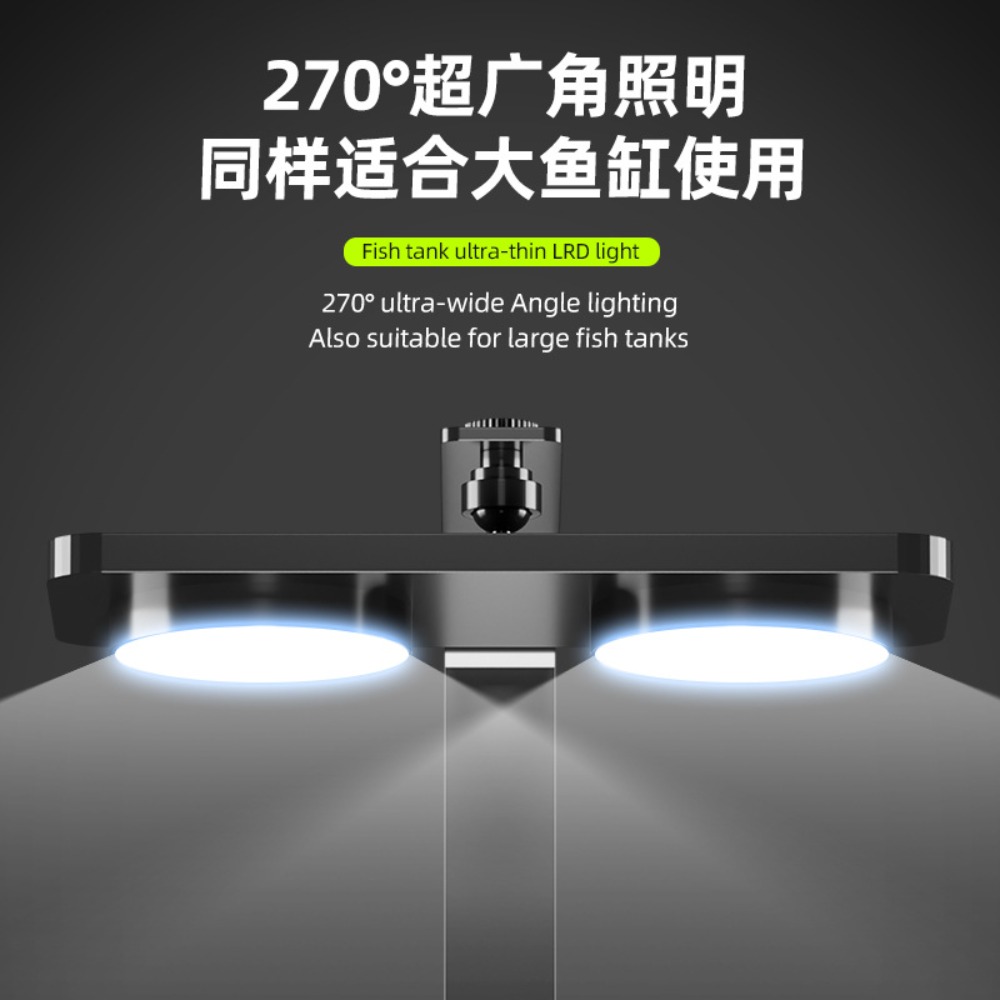 Luce per acquario a LED con cl - Planted Aquarium Cycling recensione e prezzo