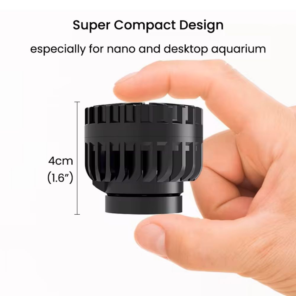 ZKSJ Terza generazione Mini Sl - Aquarium Plant Iron recensione e prezzo