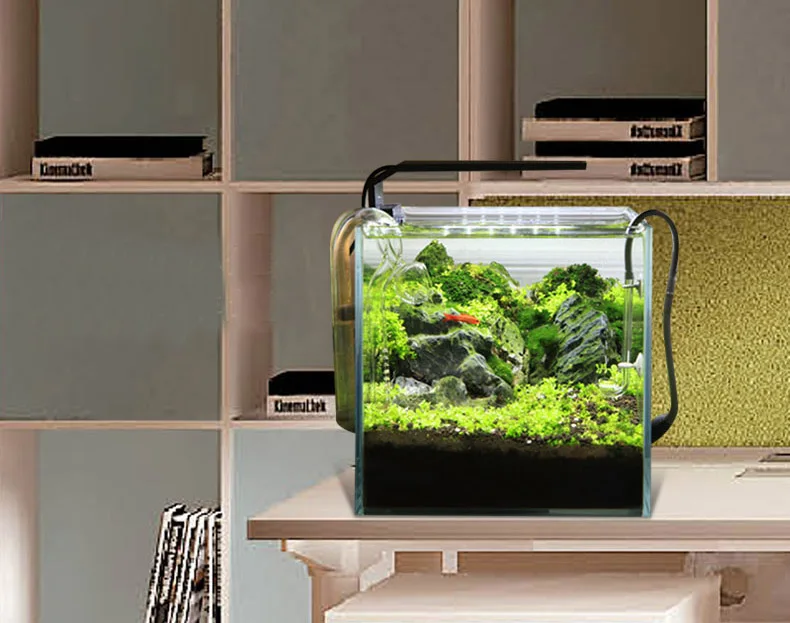 Chihiros Serie C Pianta in sti - Aquarium Plant Growth Light recensione e prezzo