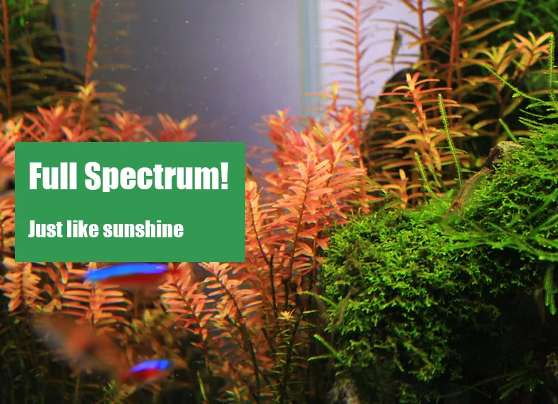 Chihiros Serie C Pianta in sti - Aquarium Plant Growth Light recensione e prezzo