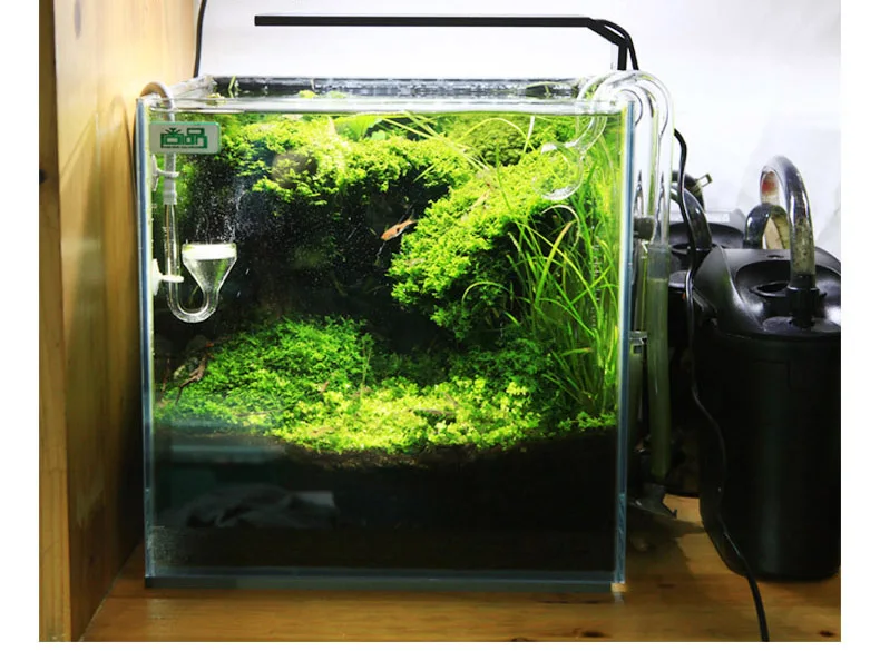 Chihiros Serie C Pianta in sti - Aquarium Plant Growth Light recensione e prezzo