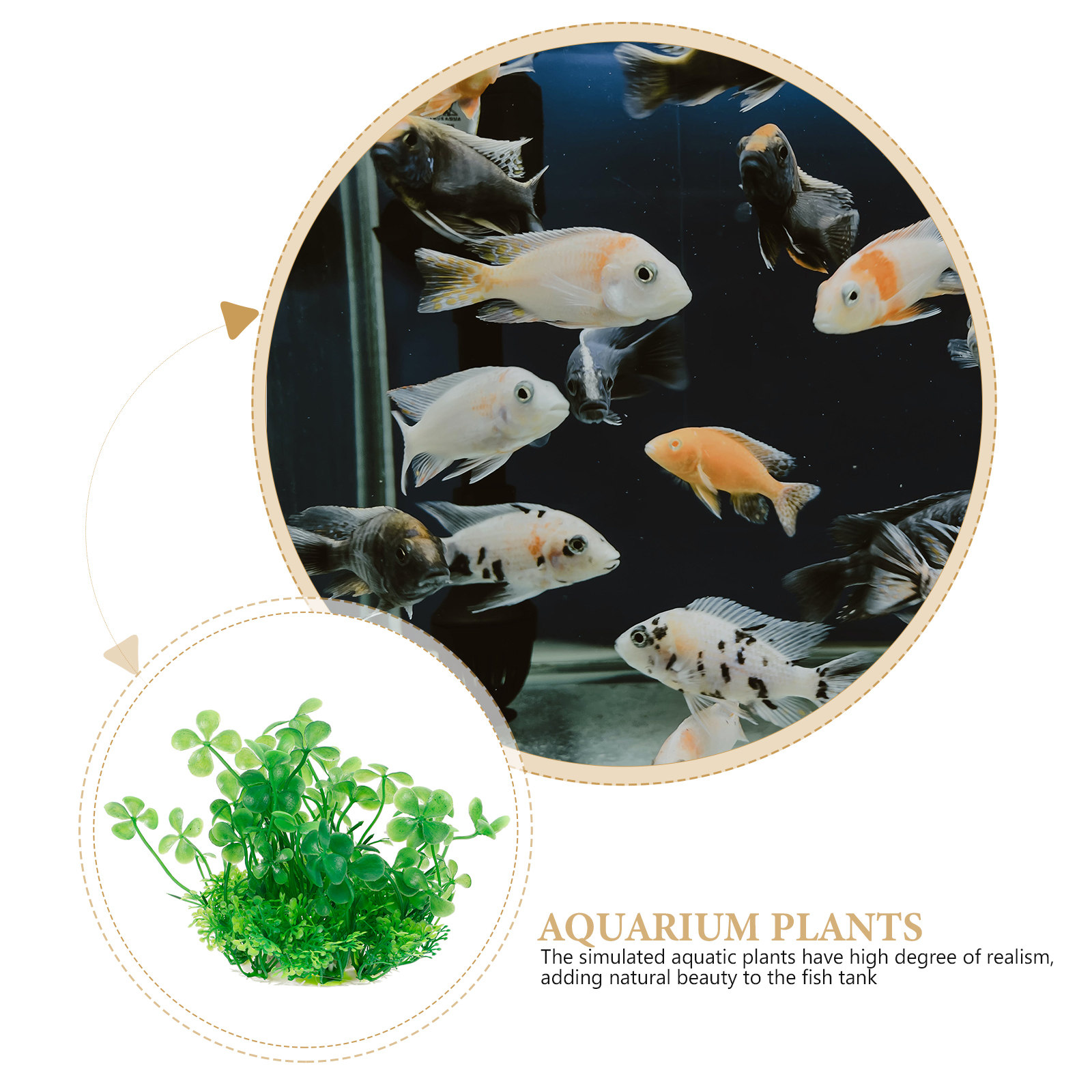Piante Artificiali Realistiche - Aquarium Planted Setup recensione e prezzo