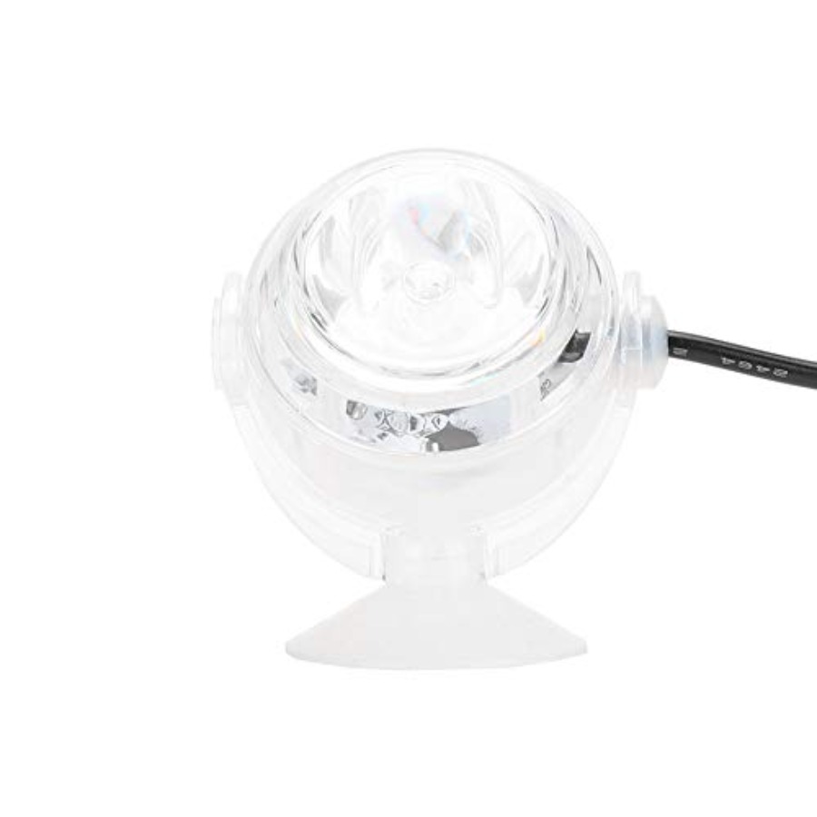 Lampada LED per Acquario da 12 - Planted Aquarium Cycling recensione e prezzo