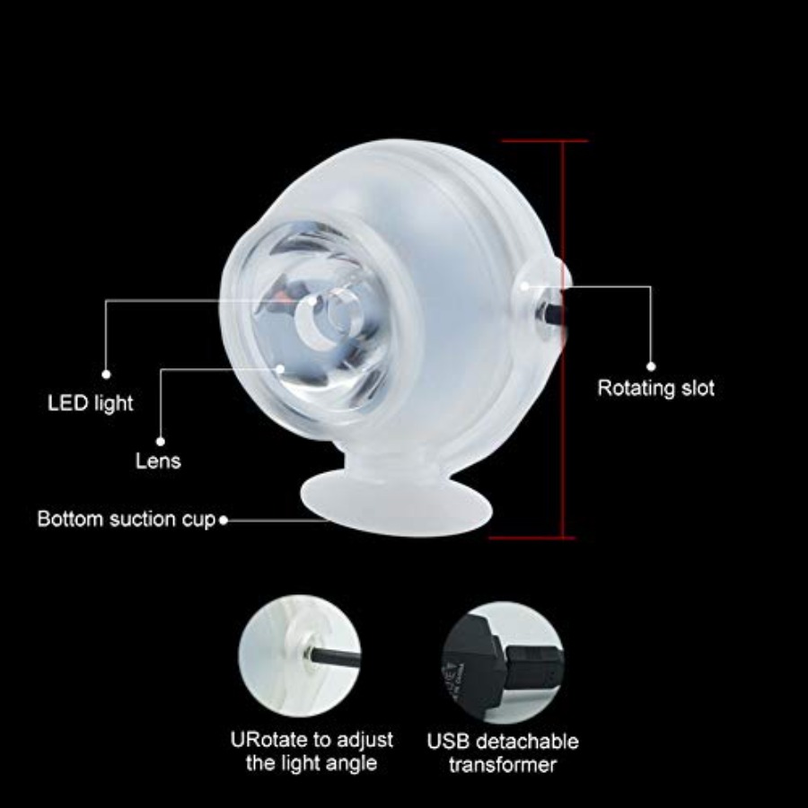 Lampada LED per Acquario da 12 - Planted Aquarium Cycling recensione e prezzo