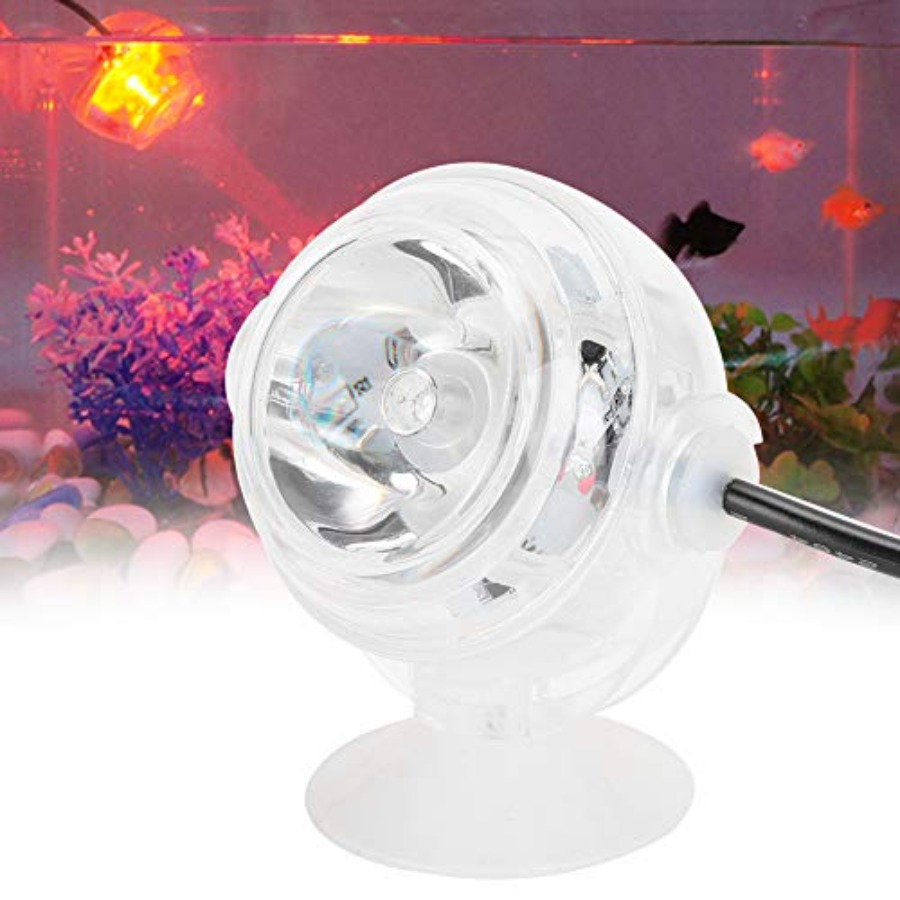 Lampada LED per Acquario da 12 - Planted Aquarium Cycling recensione e prezzo