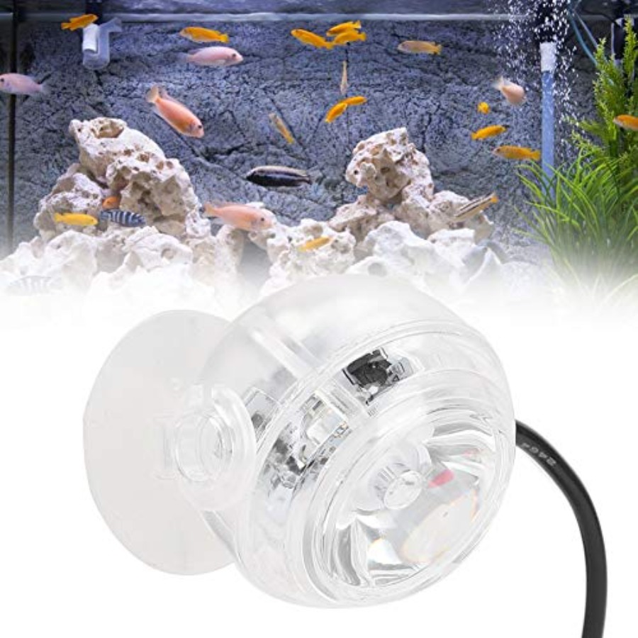 Lampada LED per Acquario da 12 - Planted Aquarium Cycling recensione e prezzo