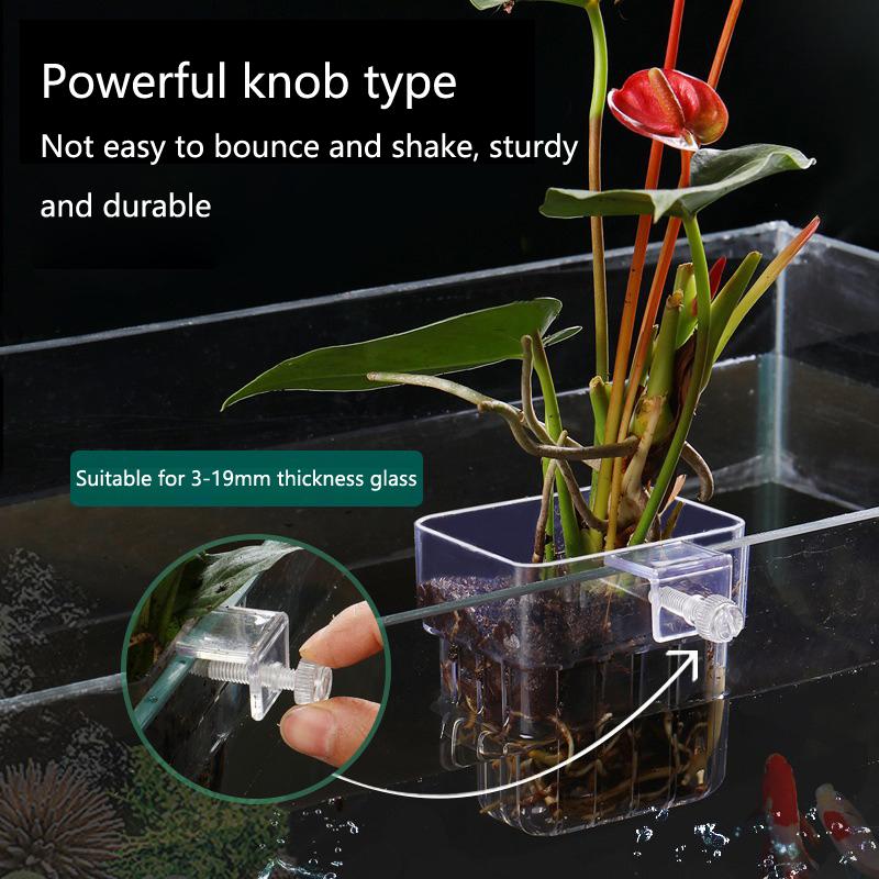 Coppette per Coltivazione Idro - Aquarium Planted Setup recensione e prezzo