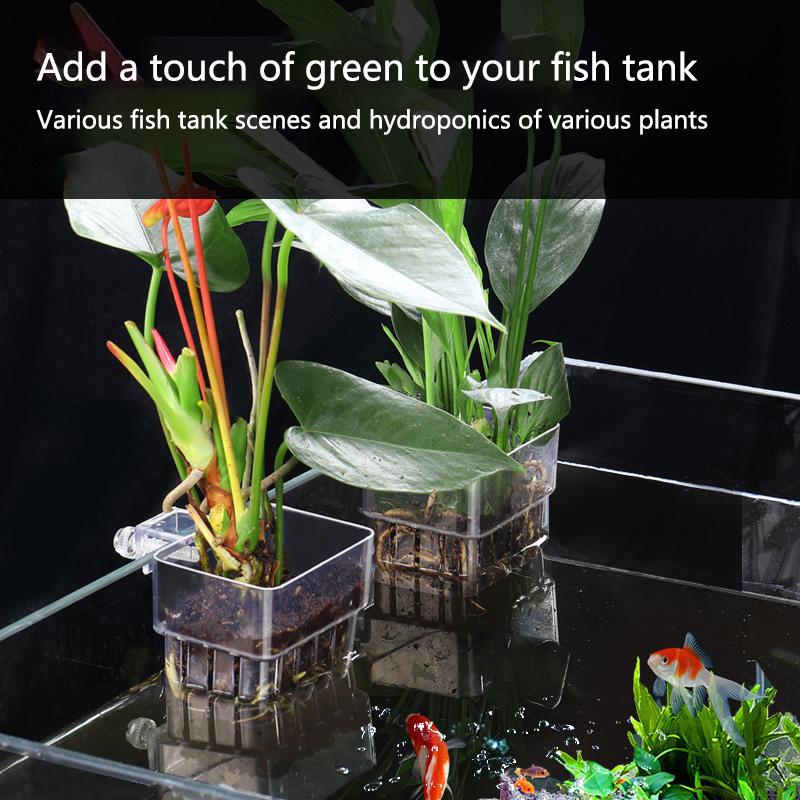 Coppette per Coltivazione Idro - Aquarium Planted Setup recensione e prezzo