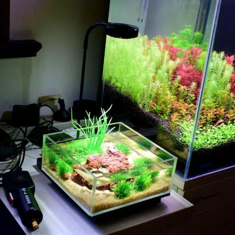 Mini luce per acquario a LED c - Aquarium Plant Growth Light recensione e prezzo