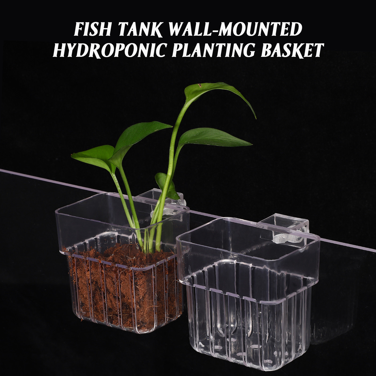 4 Pezzi Supporti per Piante da - Aquarium Planted Setup recensione e prezzo