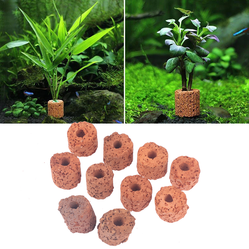 Mini anello per piante acquati - Aquarium Planted Setup recensione e prezzo