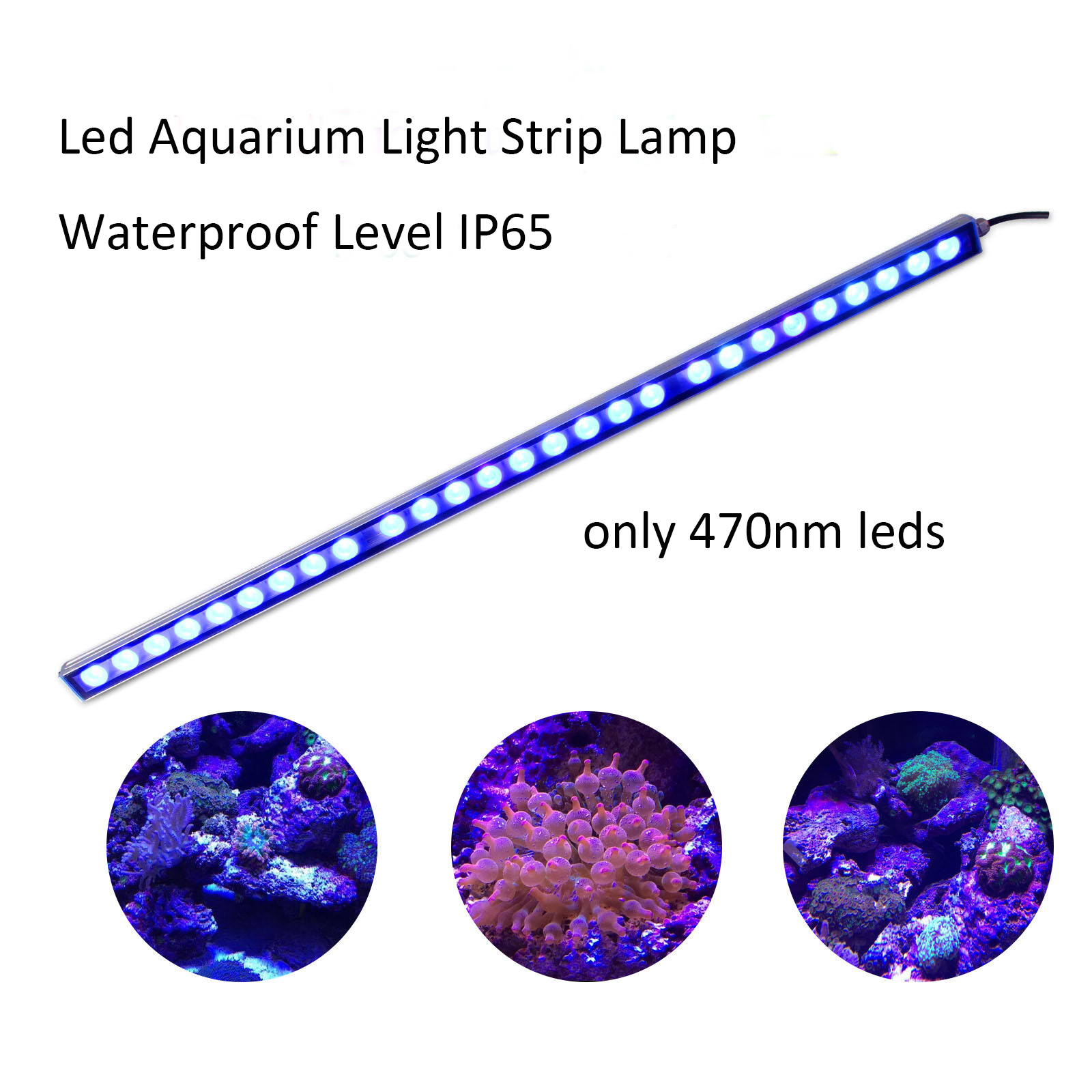 54W 81W 108W Barra LED Luce IP - Aquarium Plant Growth Light recensione e prezzo