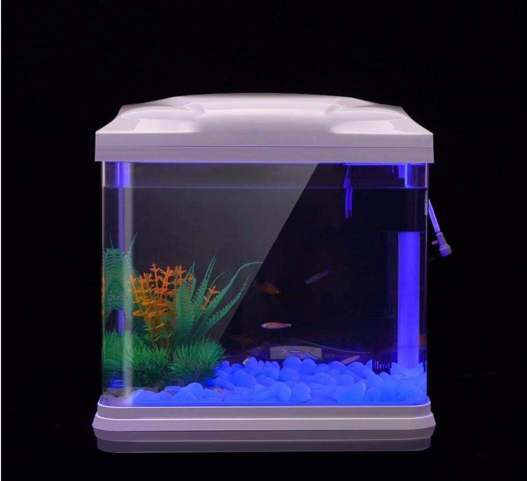 Rocce per acquari che si illum - Aquarium Planting recensione e prezzo