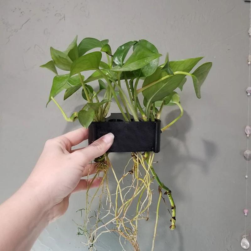 Set di 1, 2 o 3 Supporti per P - Aquarium Planted Setup recensione e prezzo
