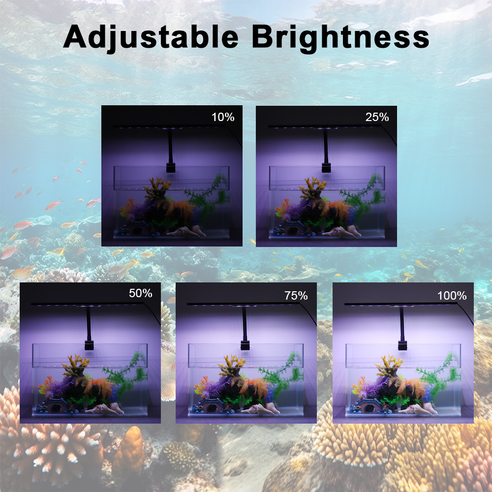 Luce LED per Acquario con Cicl - Planted Aquarium Cycling recensione e prezzo