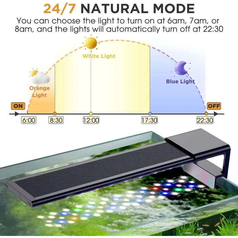 SIROKA Luce per Acquario a Spe - Planted Aquarium Cycling recensione e prezzo