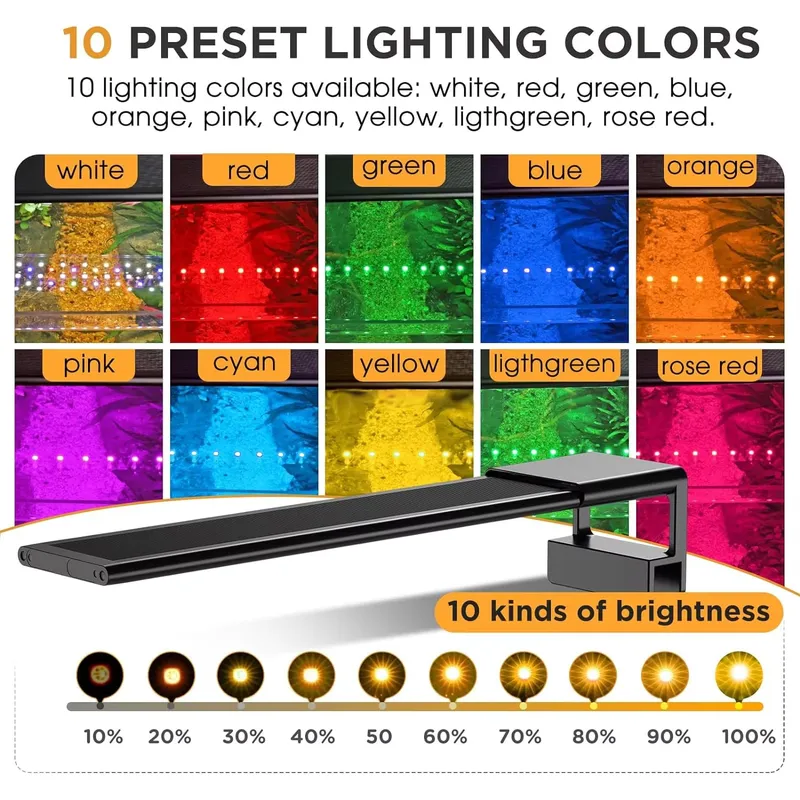 SIROKA Luce per Acquario a Spe - Planted Aquarium Cycling recensione e prezzo