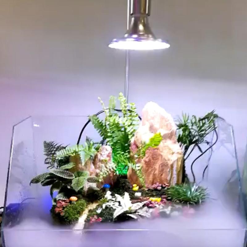 L9NB 20/40W Acquari HA CONDOTT - Aquarium Plant Growth Light recensione e prezzo