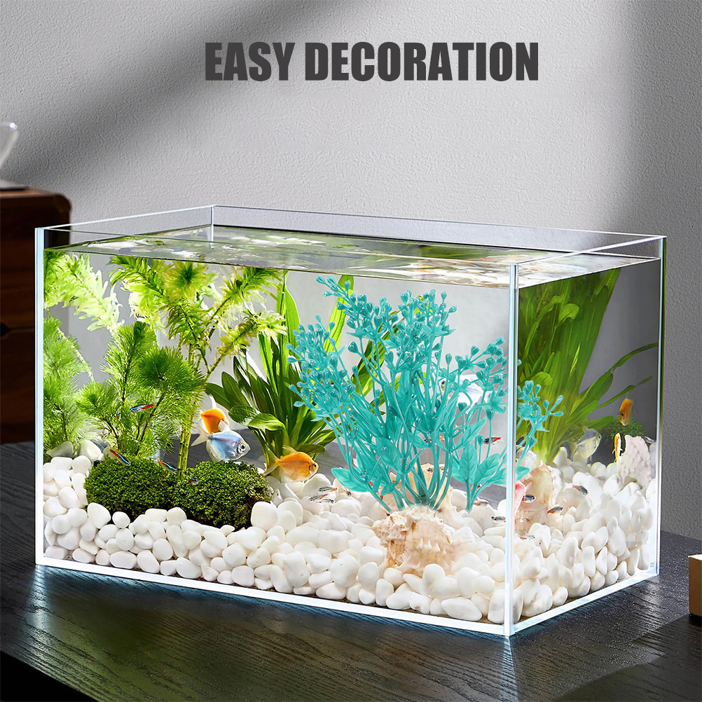 2 Pezzi di Piante Acquatiche i - Aquarium Planted Setup recensione e prezzo