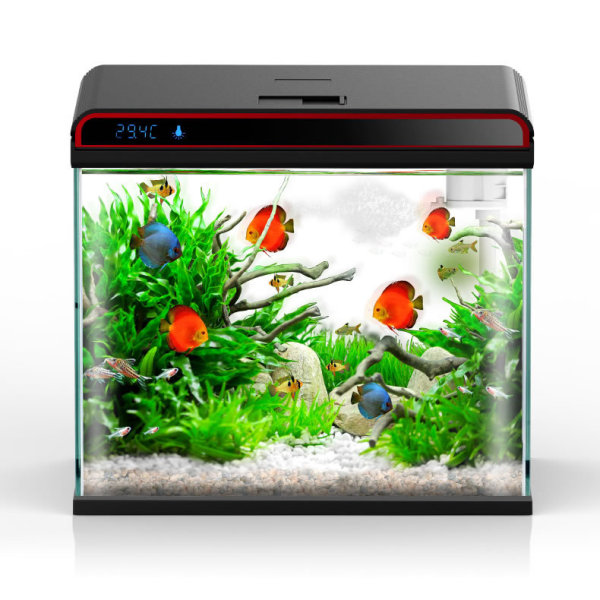 Sunsun Balsamo per acqua per a - Planted Aquarium Algae Control recensione e prezzo