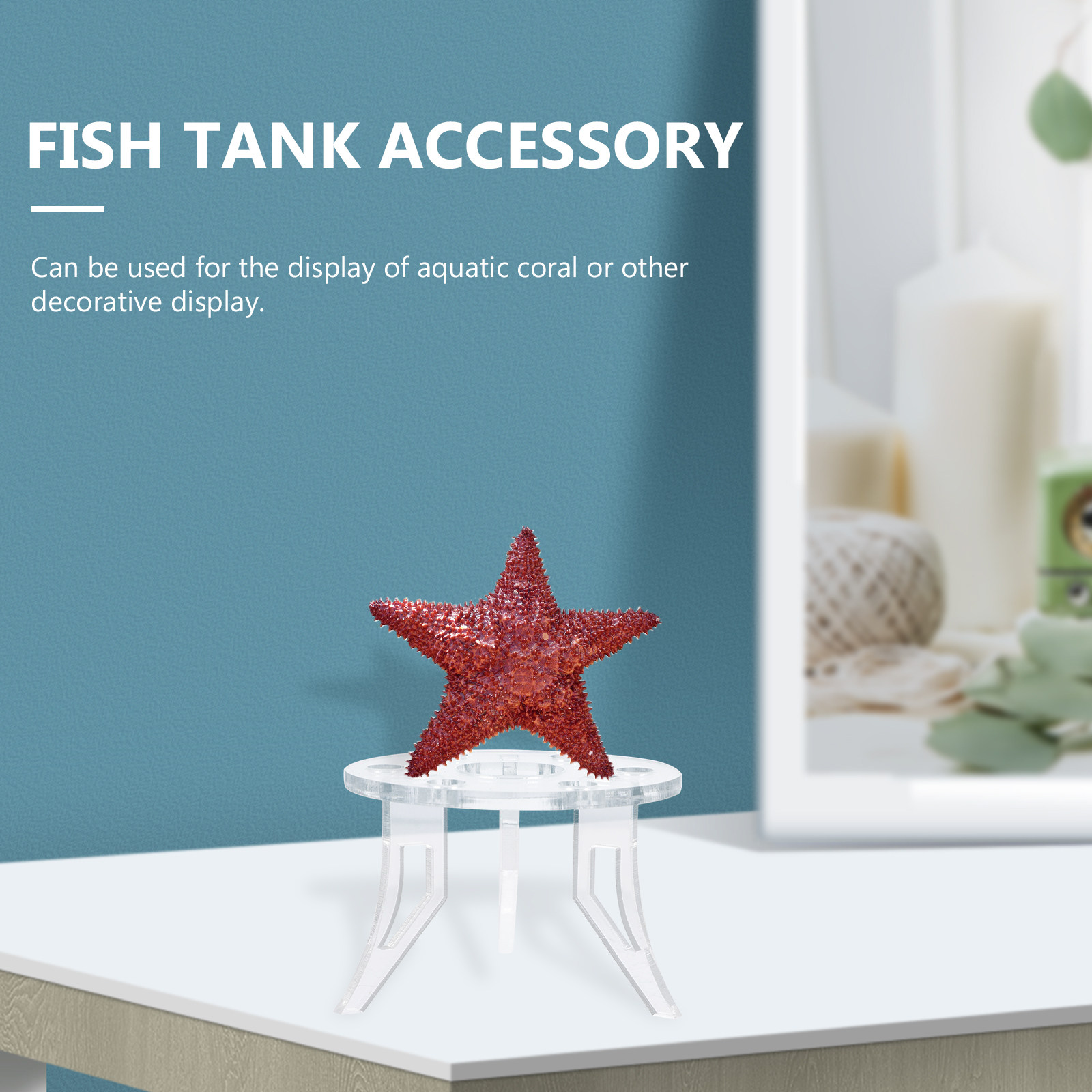 Base per Coralli, Accessorio E - Aquarium Planted Setup recensione e prezzo